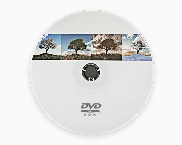 DVD-ROM